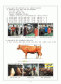 한우 전공실습(한우 사양관리 실습) 3페이지