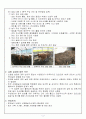 한우 전공실습(한우 사양관리 실습) 4페이지