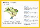 [세계문화기행]브라질의 문화 7페이지