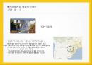 [세계문화기행]브라질의 문화 15페이지