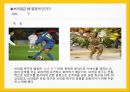 [세계문화기행]브라질의 문화 20페이지
