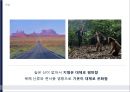 [세계문화기행]네덜란드 8페이지