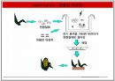 GMO 득과 실.pptx( GMO, GMO 득과 실, 유전자조작식품, 식량문제, GMO의 이해, GMO 현황, 유전자, GMO식품, 유전자재조합 식품, 한국 GMO 현황) 14페이지
