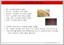 GMO 득과 실.pptx( GMO, GMO 득과 실, 유전자조작식품, 식량문제, GMO의 이해, GMO 현황, 유전자, GMO식품, 유전자재조합 식품, 한국 GMO 현황) 22페이지
