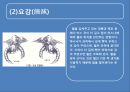 풍수지리 영원한 땅, 명당은 어떻게 찾나.ppt 25페이지