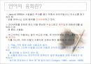 광고의 언어 유희 3페이지