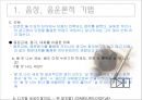 광고의 언어 유희 9페이지