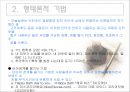 광고의 언어 유희 11페이지