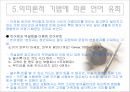 광고의 언어 유희 17페이지