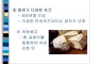 유럽의 음식문화  13페이지