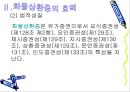 수하인의 지위와 화물상환증의 효력 8페이지