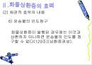 수하인의 지위와 화물상환증의 효력 23페이지