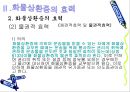 수하인의 지위와 화물상환증의 효력 28페이지