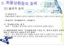 수하인의 지위와 화물상환증의 효력 29페이지