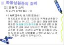 수하인의 지위와 화물상환증의 효력 35페이지