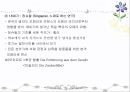 오페라  31페이지