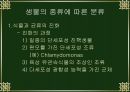 진화의 종류와 속도 6페이지