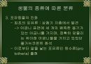 진화의 종류와 속도 8페이지
