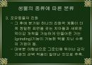 진화의 종류와 속도 9페이지