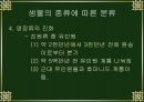 진화의 종류와 속도 11페이지