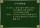 진화의 종류와 속도 25페이지