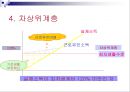 기초생활보장법의 급여와 기타 공공부조 관련법 PPT 파워포인트 29페이지