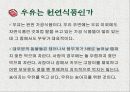 우유는 완전식품인가  3페이지