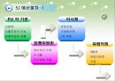 유럽 연합의 재정정책 및 조세정책.ppt 11페이지