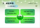 유럽 연합의 재정정책 및 조세정책.ppt 13페이지