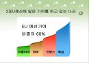 유럽 연합의 재정정책 및 조세정책.ppt 29페이지