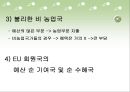 유럽 연합의 재정정책 및 조세정책.ppt 30페이지