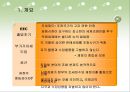 유럽 연합의 재정정책 및 조세정책.ppt 34페이지