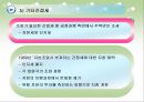 유럽 연합의 재정정책 및 조세정책.ppt 45페이지