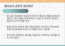 우리나라의 예산 심의.ppt 24페이지