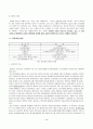 방언속의 한국어 - 우리의 언어 생활에서 방언과 표준어의 자리매김 4페이지