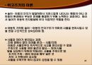 놀이와 유아기  24페이지