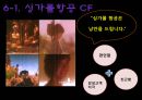 아시아나항공과 싱가폴항공의 비교 분석  13페이지