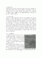  서양조경사총요약 14페이지