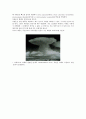 Cumulonimbus (적란운) 4페이지