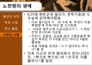 노천명 (盧天命) (생애 , 시 세계, 삶과 시).pptx 10페이지