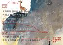 노천명 (盧天命) (생애 , 시 세계, 삶과 시).pptx 15페이지