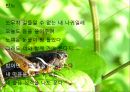 노천명 (盧天命) (생애 , 시 세계, 삶과 시).pptx 20페이지