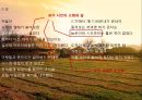 노천명 (盧天命) (생애 , 시 세계, 삶과 시).pptx 25페이지