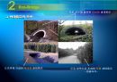 Road Kill (로드 킬) - 삶을 향한 위험한 선택...ppt 15페이지