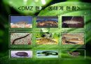 희망의 창 DMZ.ppt 9페이지