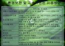 희망의 창 DMZ.ppt 22페이지
