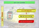 황소개구리, 그들은 정말 사라졌는가?.ppt 14페이지