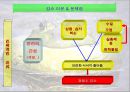 황소개구리, 그들은 정말 사라졌는가?.ppt 16페이지
