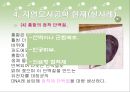 자연모사공학.ppt  21페이지