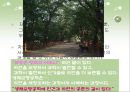 자연모사공학.ppt  26페이지